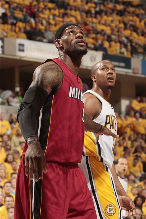 鱼并非只是 鱼并非只是